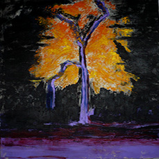 Arbre Flamboyant