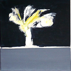 Fracture d'Ame I
