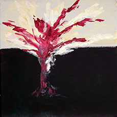 Fracture d'Ame II